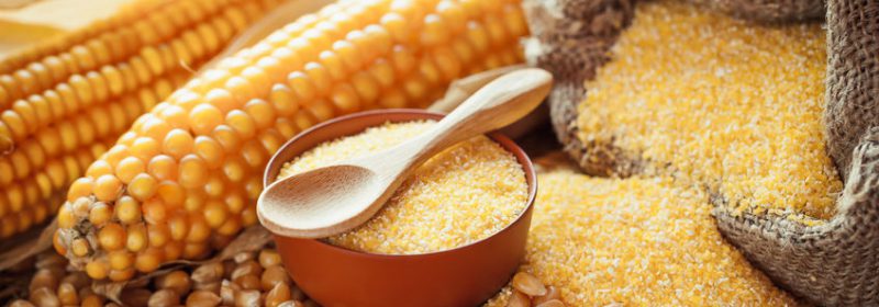 Corn groats and dry seeds, corncobs on wooden rustic table. Corn groats and dry seeds, corncobs on wooden rustic table. Selective focus